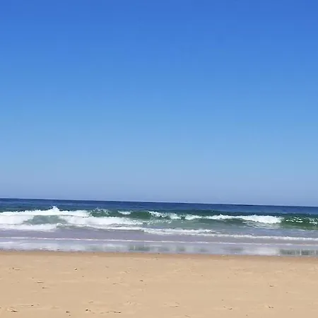 Holiday home New Wooden House 300 M From Beach, Forest, 1 To 11 People