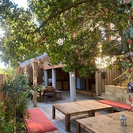New Wooden House 300 M From Beach, Forest, 1 To 11 People Holiday home Mimizan-Plage