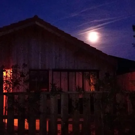 New Wooden House 300 M From Beach, Forest, 1 To 11 People Holiday home Mimizan-Plage
