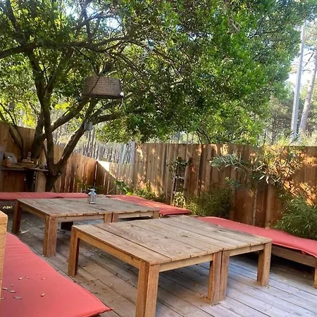 New Wooden House 300 M From Beach, Forest, 1 To 11 People Holiday home Mimizan-Plage